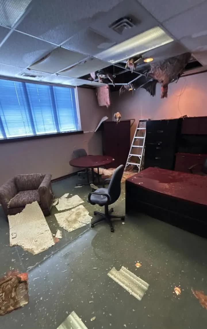 Office interior after a water loss, with suspended ceiling tiles collapsed onto the desks, insulation hanging from the exposed grid, and standing water across the carpet